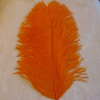 ostridge  plumes orange Wapsi