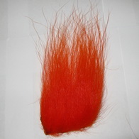polar bear orange long premium