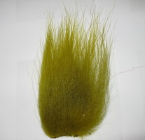 polar bear olive (Extra long) premium