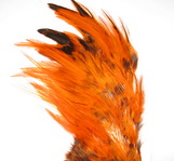 rooster saddle  hot orange