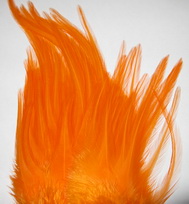 Strong rooster saddle  orange