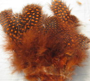 ����� ������� quinea fowl orange Super Fly