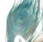 Bleached and dyed peacock stick sea blue