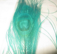 Bleached and dyed peacock stick  green