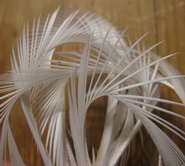 goose biot  white  ������� �����