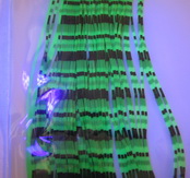 silicone legs fl green / black