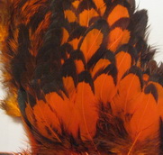 1/2 Whiting soft hackle ���� ������ ��������� � ������ ���������� (BLW)